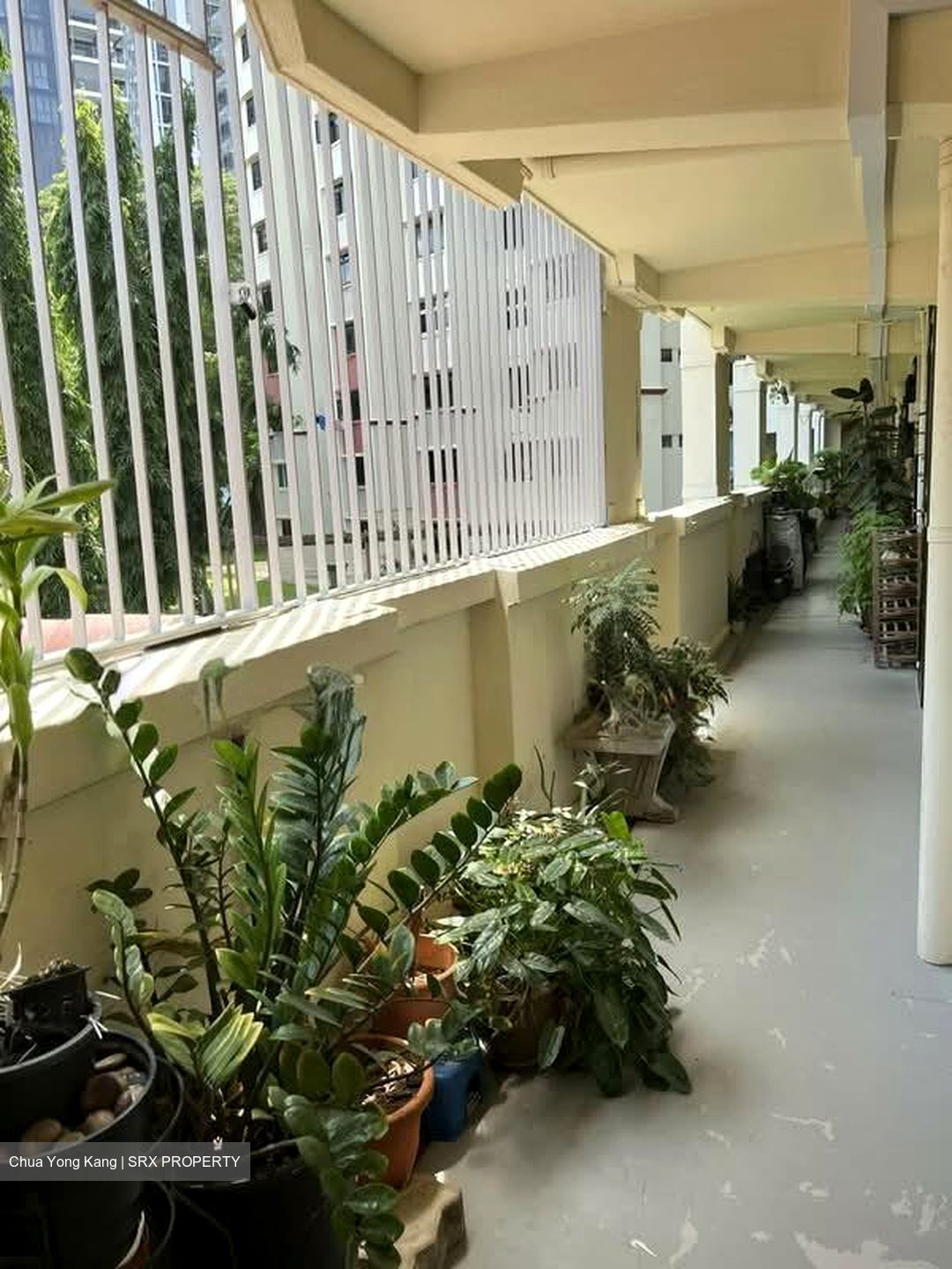 Blk 53 Toa Payoh Vista (Toa Payoh), HDB 3 Rooms #602827931
